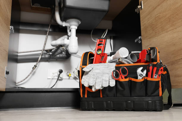 Best Same-Day Plumbing Service  in Roanoke, AL