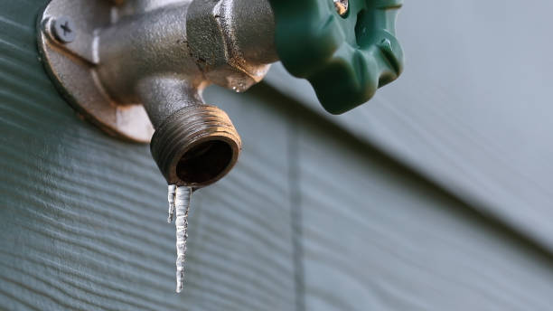 Best Plumbing Installation Services  in Roanoke, AL