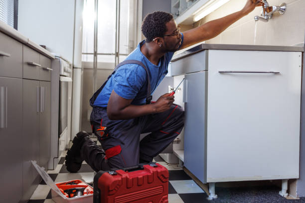 Best Faucet Repair  in Roanoke, AL
