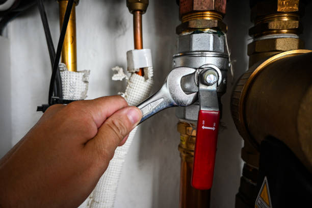 Best Shower Repair Services  in Roanoke, AL